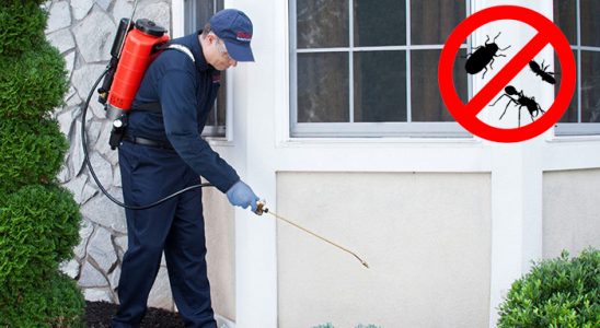 Evka 2 Böcek İlaçlama böcek ilaçlama ve haşere kontrolü — ilaclama-tr.com